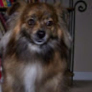 Meet your Posher, Krisandra